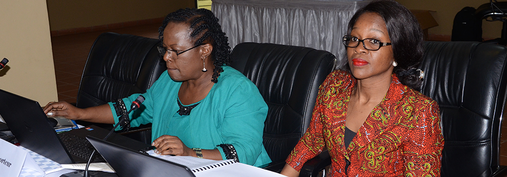 Funded by the UN Women, the research was conducted by Senior Consultant Dora Byamukama (in green)